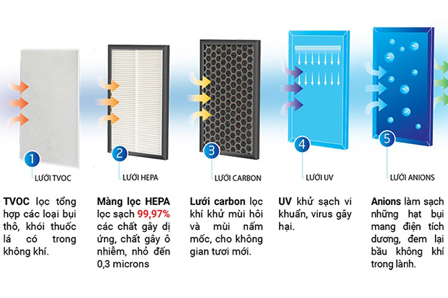 Cá loại màn lọc trên máy lọc không khí